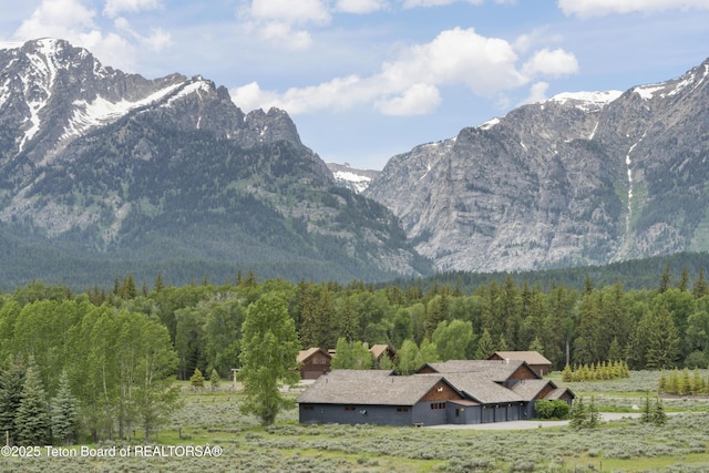 500 E Solitude Dr, Jackson, WY 83001 - view of mountain background with a heavily wooded area