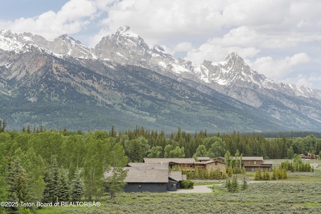 500 E Solitude Dr, Jackson, WY 83001 - view of mountain background with a heavily wooded area