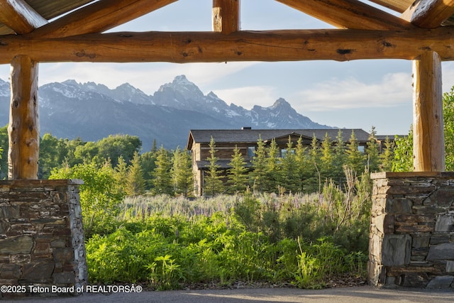 500 E Solitude Dr, Jackson, WY 83001 - view of mountain background