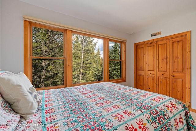 25655 Buffalo Run, Moran, WY 83013 - bedroom with multiple windows and a closet