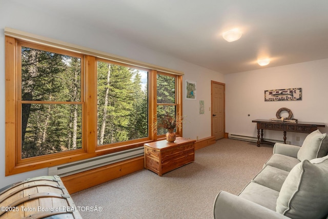 25655 Buffalo Run, Moran, WY 83013 - carpeted living room with a baseboard heating unit