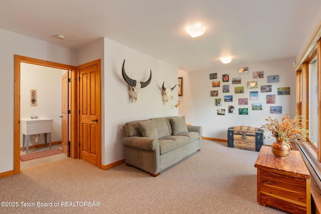 25655 Buffalo Run, Moran, WY 83013 - living room featuring carpet and baseboards