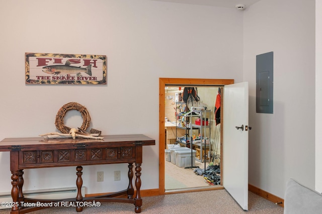 25655 Buffalo Run, Moran, WY 83013 - hall featuring electric panel, carpet flooring, and baseboards
