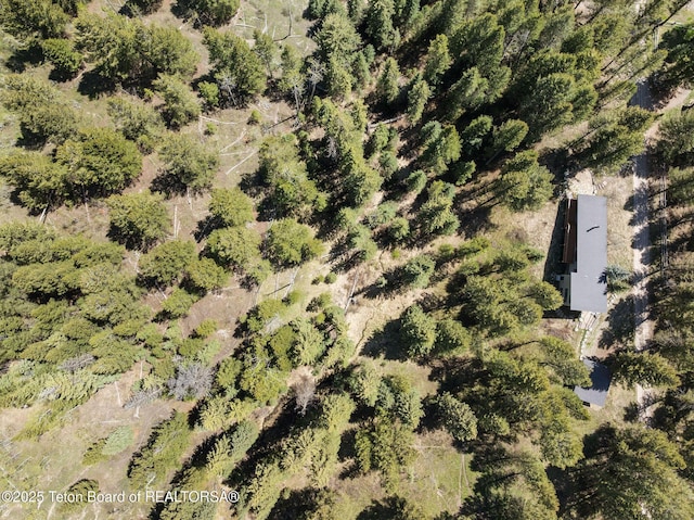 25655 Buffalo Run, Moran, WY 83013 - drone / aerial view