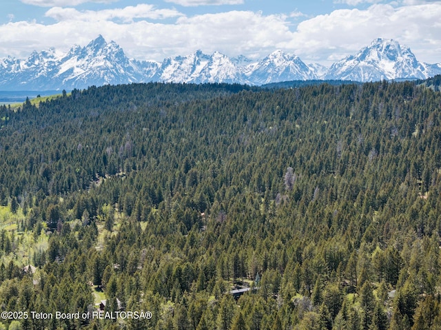 25655 Buffalo Run, Moran, WY 83013 - view of mountain backdrop featuring a forest