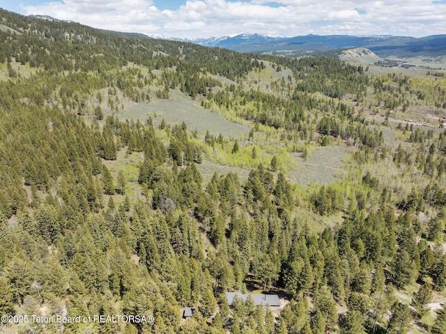 25655 Buffalo Run, Moran, WY 83013 - view of mountain background with a forest