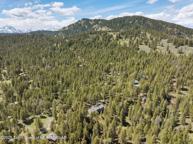 25655 Buffalo Run, Moran, WY 83013 - drone / aerial view of a heavily wooded area and a mountainous background