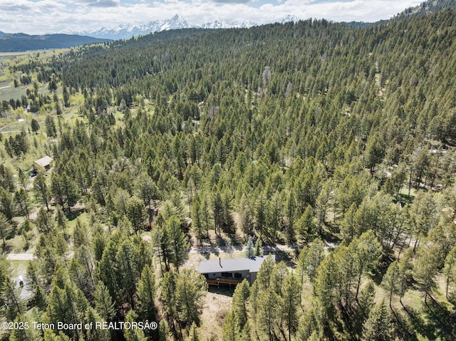 25655 Buffalo Run, Moran, WY 83013 - view of property location featuring a forest and mountains