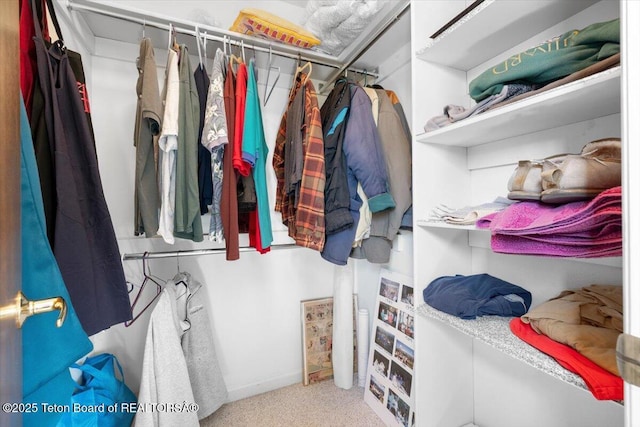 3470 S Winding Trail Dr, Jackson, WY 83001 - spacious closet with carpet floors