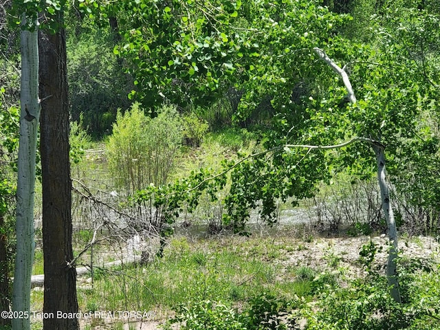 125 Cobble Creek Ln Unit 75, Driggs, ID 83422 - view of tree filled area