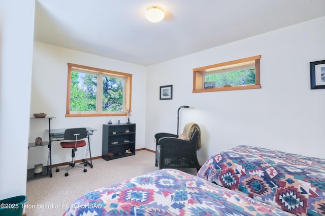 3190 Sorensen Creek Dr, Victor, ID 83455 - carpeted bedroom featuring baseboards