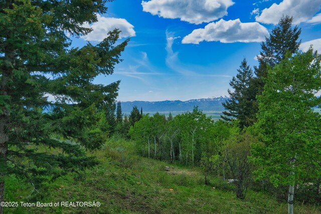 3190 Sorensen Creek Dr, Victor, ID 83455 - view of mountain background featuring a forest