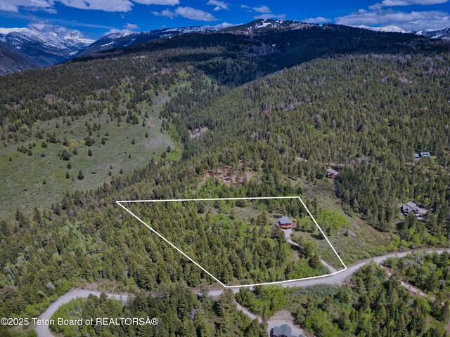 3190 Sorensen Creek Dr, Victor, ID 83455 - view of property location featuring a heavily wooded area, mountains, and property boundaries highlighted