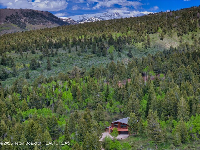 3190 Sorensen Creek Dr, Victor, ID 83455 - mountain view with a heavily wooded area