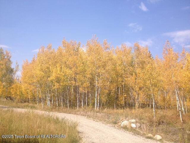 25000 N Deer Ct, Moran, WY 83013 - view of road featuring a view of trees