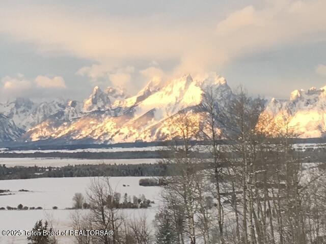 25000 N Deer Ct, Moran, WY 83013 - view of mountain background