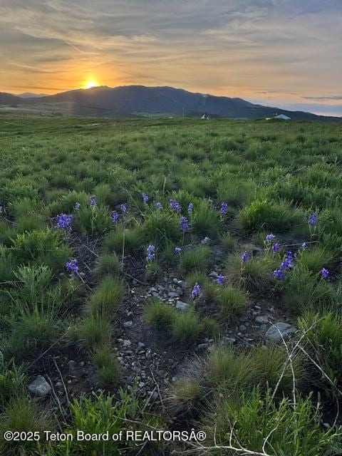 2073 County Road 109, Etna, WY 83118 - photo 50