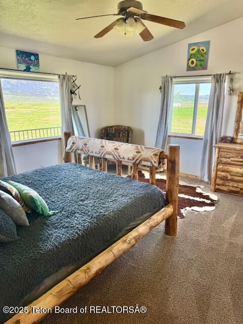 2073 County Road 109, Etna, WY 83118 - photo 12