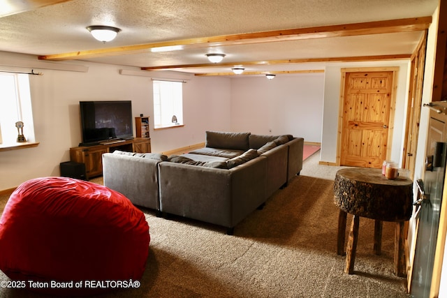 2073 County Road 109, Etna, WY 83118 - photo 32
