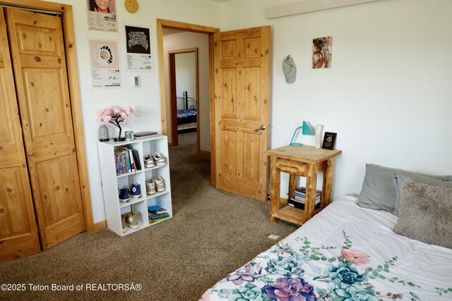 2073 County Road 109, Etna, WY 83118 - photo 21