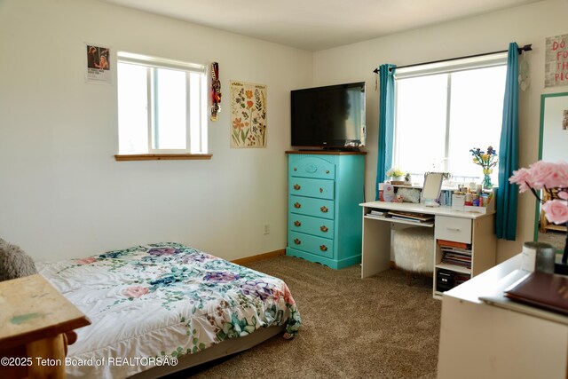 2073 County Road 109, Etna, WY 83118 - photo 22