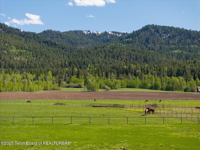 1795 Fumarole Dr, Victor, ID 83455 - view of mountain backdrop with a heavily wooded area and rural landscape