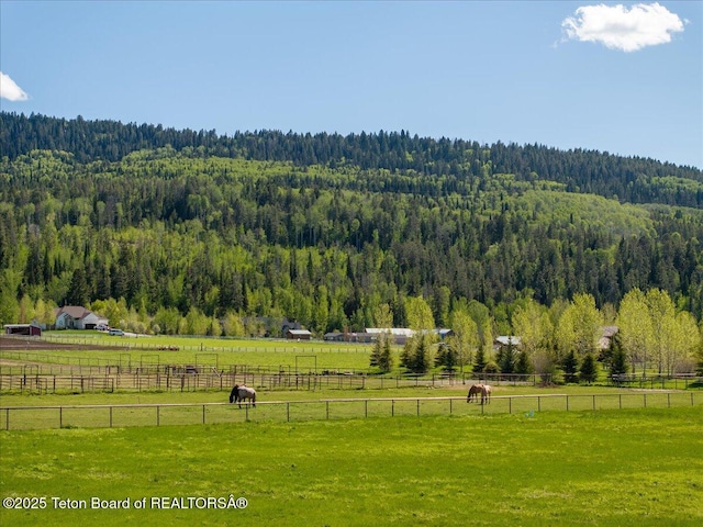 1795 Fumarole Dr, Victor, ID 83455 - view of community with a view of trees and a view of rural / pastoral area