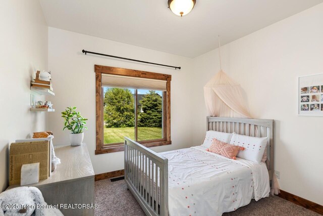 479 Columbine St, Alpine, WY 83128 - photo 24