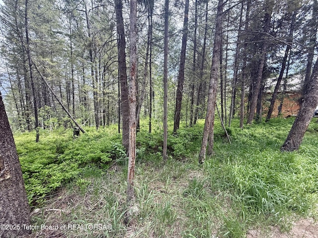 LOT226 Pinecrest Cir, Alpine, WY 83128