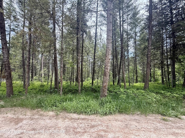 LOT226 Pinecrest Cir, Alpine, WY 83128