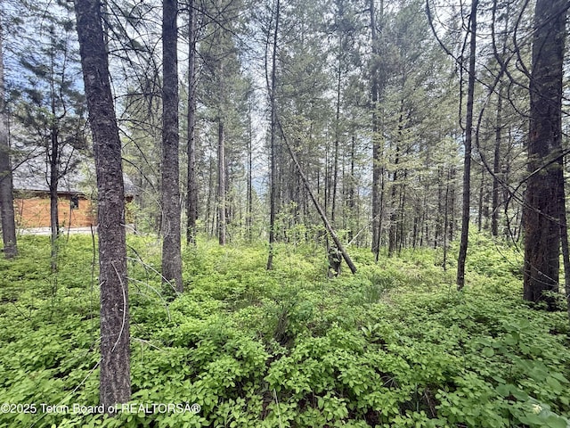 LOT226 Pinecrest Cir, Alpine, WY 83128