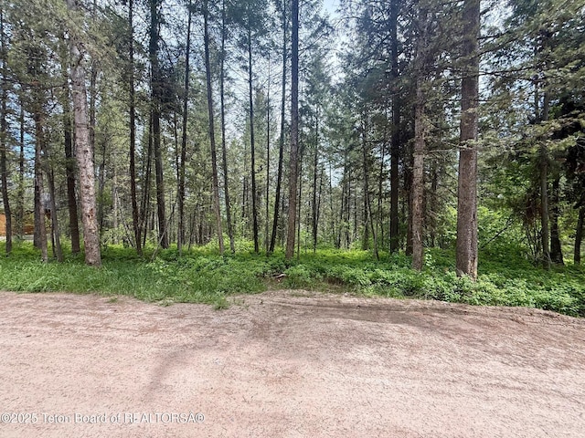 LOT226 Pinecrest Cir, Alpine, WY 83128