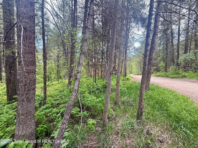 LOT226 Pinecrest Cir, Alpine, WY 83128