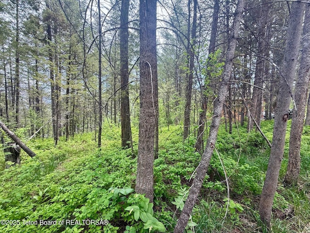 LOT226 Pinecrest Cir, Alpine, WY 83128