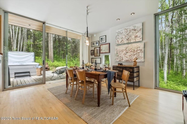 2825 S Sparrow Hawk Rd, Wilson, WY 83014 - dining space with plenty of natural light and wood finished floors