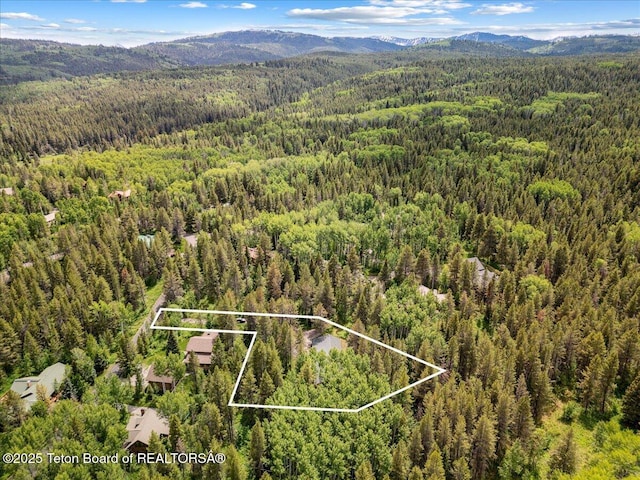 2825 S Sparrow Hawk Rd, Wilson, WY 83014 - aerial view of property and surrounding area with mountains and property boundaries highlighted