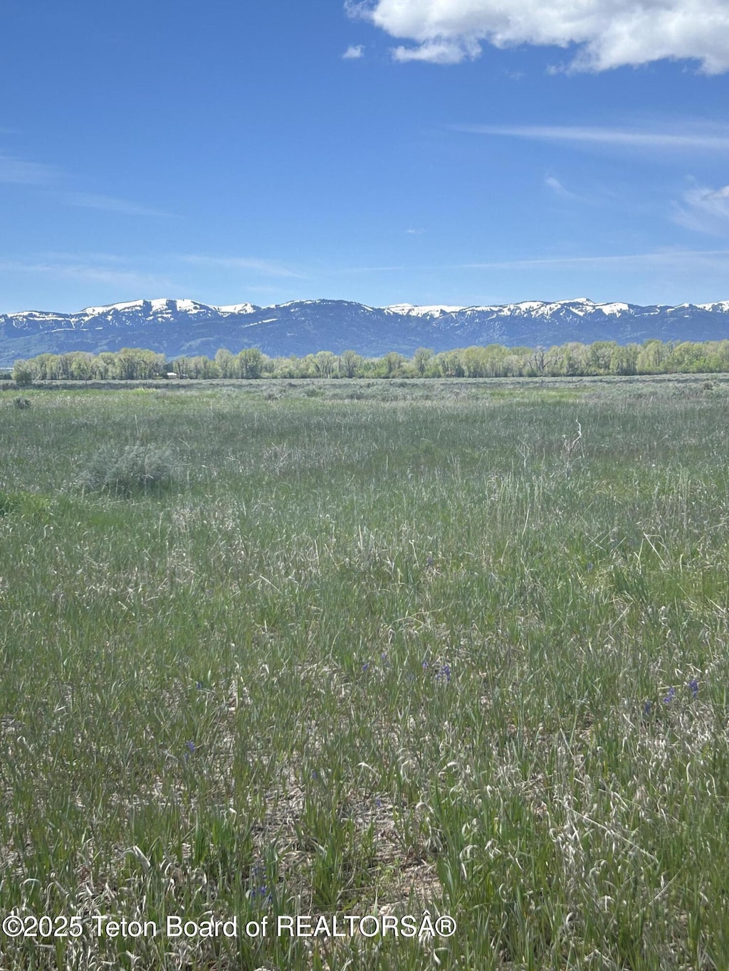 280 S 1000 E, Driggs, ID 83422 - photo 1