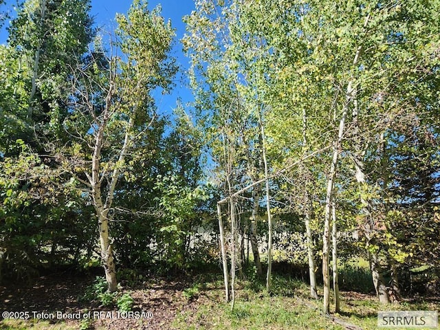 7580 Mountain Laurel Dr Unit A-3, Victor, ID 83455 - view of undeveloped land