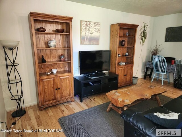 7580 Mountain Laurel Dr Unit A-3, Victor, ID 83455 - living area with light wood-style floors