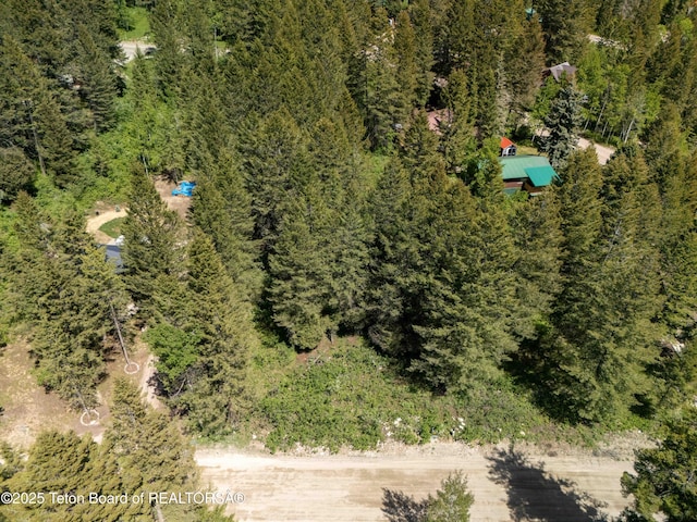LOT25 Cedar Dr, Star Valley Ranch, WY 83127 - photo 4