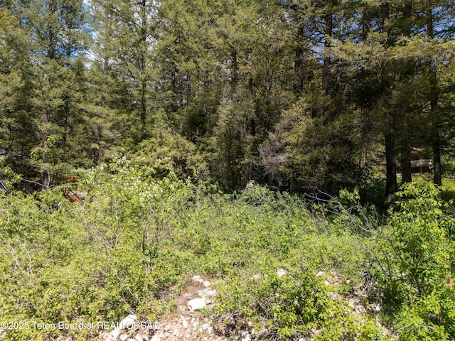 LOT25 Cedar Dr, Star Valley Ranch, WY 83127 - photo 5