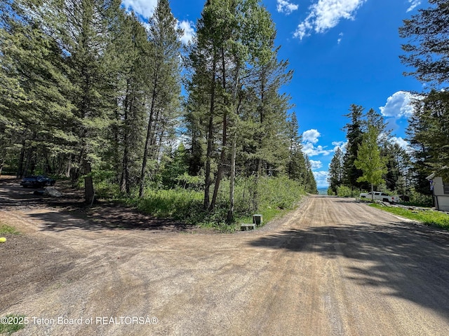 LOT25 Cedar Dr, Star Valley Ranch, WY 83127 - photo 6