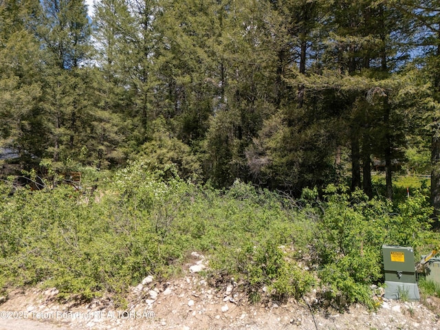 LOT25 Cedar Dr, Star Valley Ranch, WY 83127 - photo 7