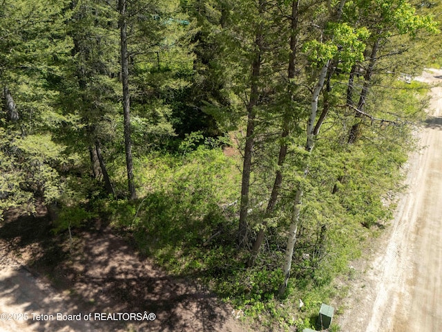 LOT25 Cedar Dr, Star Valley Ranch, WY 83127 - photo 8