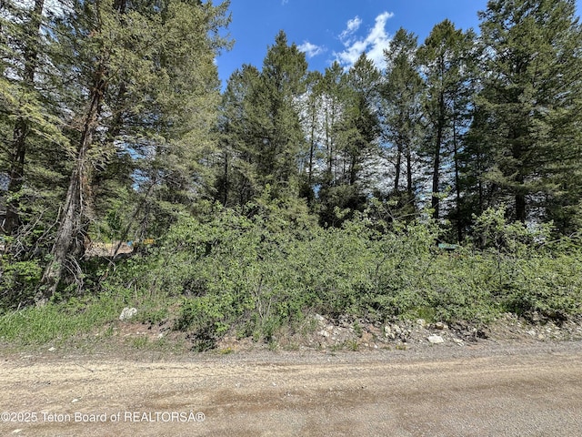 LOT25 Cedar Dr, Star Valley Ranch, WY 83127 - photo 9