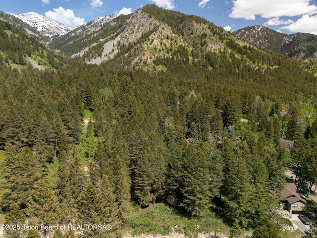 LOT25 Cedar Dr, Star Valley Ranch, WY 83127 - photo 10