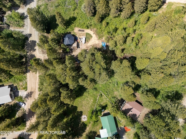 LOT25 Cedar Dr, Star Valley Ranch, WY 83127 - photo 16