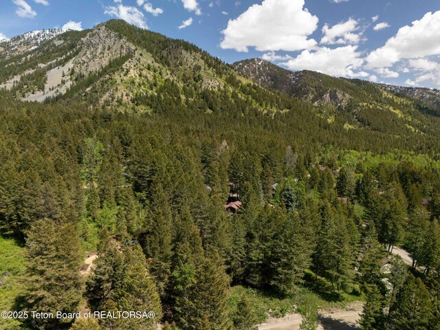 LOT25 Cedar Dr, Star Valley Ranch, WY 83127 - photo 11