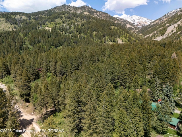 LOT25 Cedar Dr, Star Valley Ranch, WY 83127 - photo 13