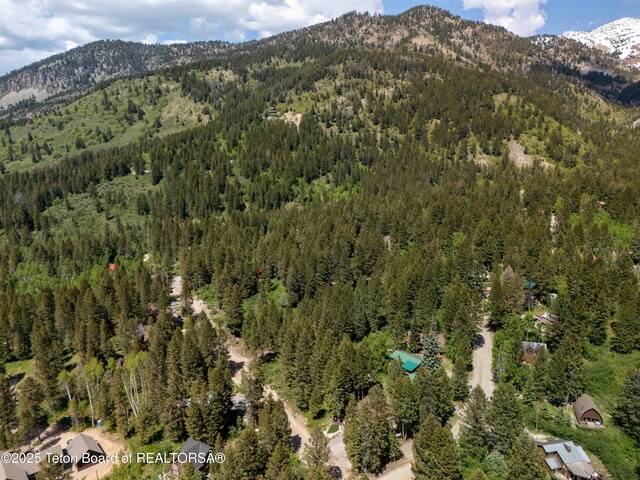 LOT25 Cedar Dr, Star Valley Ranch, WY 83127 - photo 14